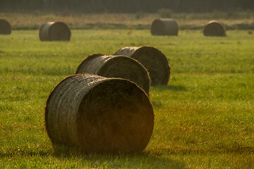 Image showing Hay bales on the field after harvest in foggy morning.