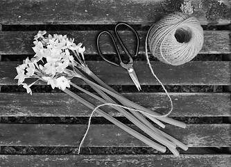 Image showing Ball of twine and scissors with bunch of white narcissi