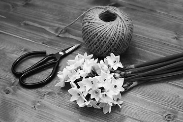 Image showing Florist scissors with white narcissi and ball of twine