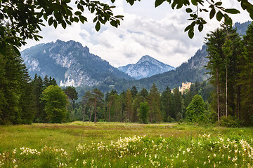 Image showing Palace Neuschwanstein and Hohenschwangau