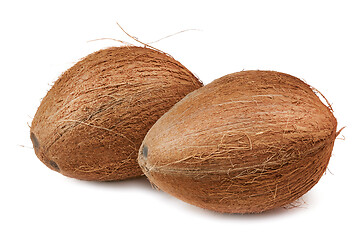 Image showing Two Coconuts over White 