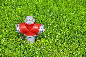 Image showing Fire Hydrant