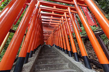 Image showing Japanese traditional red Tori gates in Tokyo