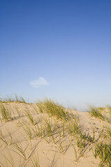Image showing dune at the beach