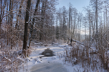 Image showing Winter landscape of frozen Lesna River