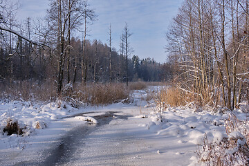 Image showing Winter landscape of frozen Lesna River