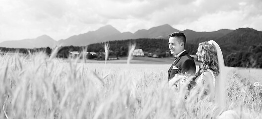Image showing Bride hugs groom tenderly in wheat field somewhere in Slovenian countryside.