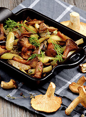 Image showing Roasted Chanterelles Ragout 