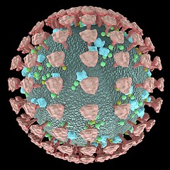 Image showing Coronavirus cells