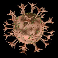 Image showing virus cells