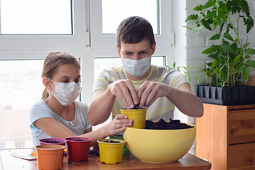 Image showing Dad and quarantined girl in medical masks pour earth into pots