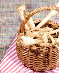 Image showing Heap of Parsnip Roots