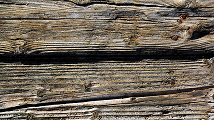 Image showing Hardwood Texture with Rusty Nails