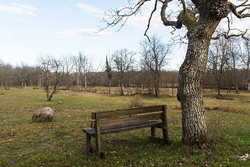 Image showing Wooden bench by a tree trunk