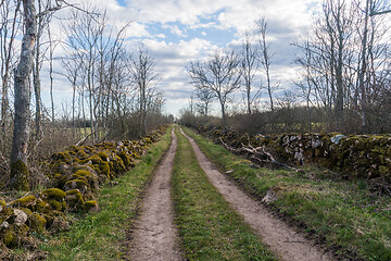 Image showing Country road surrounded by mossy dry stone walls