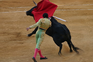 Image showing Bullfighter