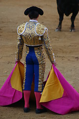 Image showing Matador