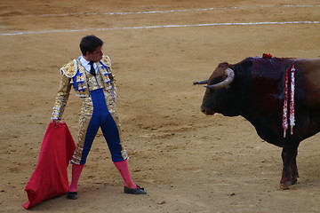 Image showing Matador