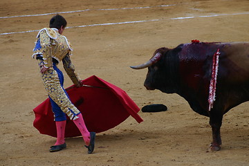 Image showing Matador