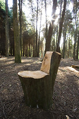 Image showing Bench made of wood