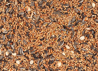 Image showing Birdfood - Mixed seeds, grain, nuts and corn