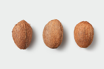 Image showing Fresh ripe tropical coconut fruits isolated on white background.