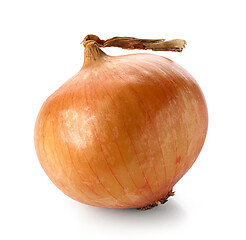 Image showing fresh raw onion