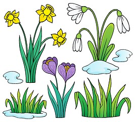 Image showing Early spring flowers theme set 1