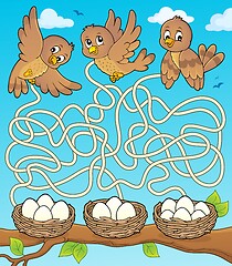 Image showing Maze 34 with birds and nests