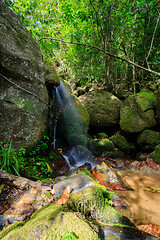 Image showing waterfall in Nosy Mangabe, Madagascar wilderness