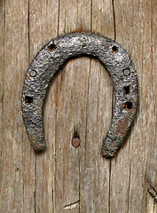 Image showing Horseshoe