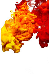 Image showing abstract formed by color dissolving in water