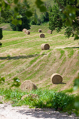 Image showing some straw bales on a field in Marche Italy