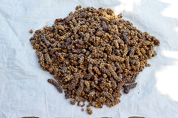 Image showing coffee beans at Bali Indonesia