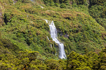 Image showing Fiordland National Park New Zealand