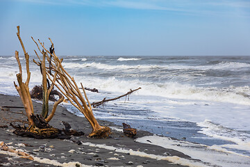 Image showing jade beach Hokitika, New Zealand