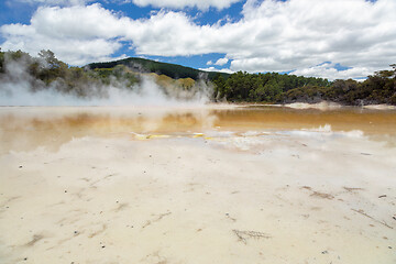 Image showing geothermal activity at Rotorua in New Zealand