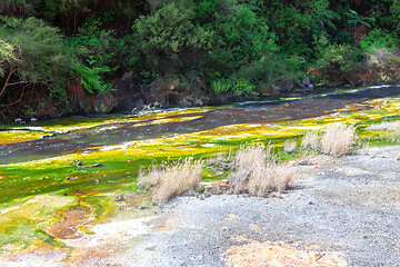 Image showing volcanic activities at waimangu