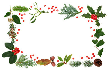 Image showing Winter and Christmas Flora & Fauna Background