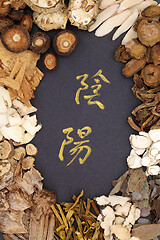 Image showing Chinese Yin and Yang Herbs