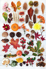 Image showing Autumn Nature Study Composition