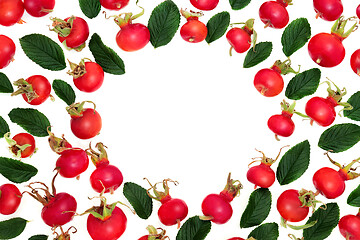 Image showing Juicy Rose Hip Fruit Background Border