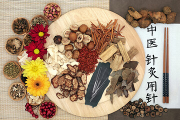 Image showing Chinese Herbs and Acupuncture Needles