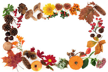 Image showing Autumn Nature Background Border