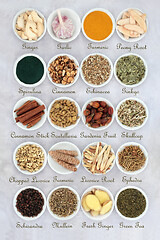 Image showing  Asthma Relieving Herbs and Spices
