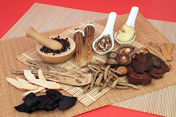 Image showing Chinese Herbal Medicine used as a Tonic