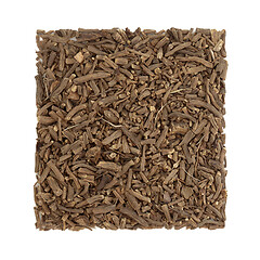 Image showing Valerian Herb Root