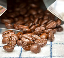 Image showing Coffee Beans Shows Barista Coffees And Brew  
