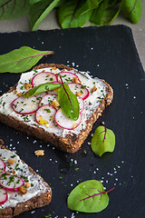 Image showing Delicious vegetarian sandwiches