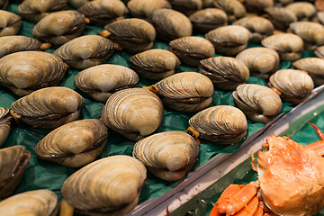 Image showing Fresh Clam and snow crab in fish market